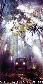 Off-road Safari